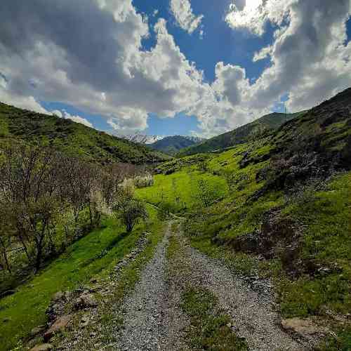  وقتشه که پاشم از این خواب فکر نکن جا مونده ورق و کاغذم ایران